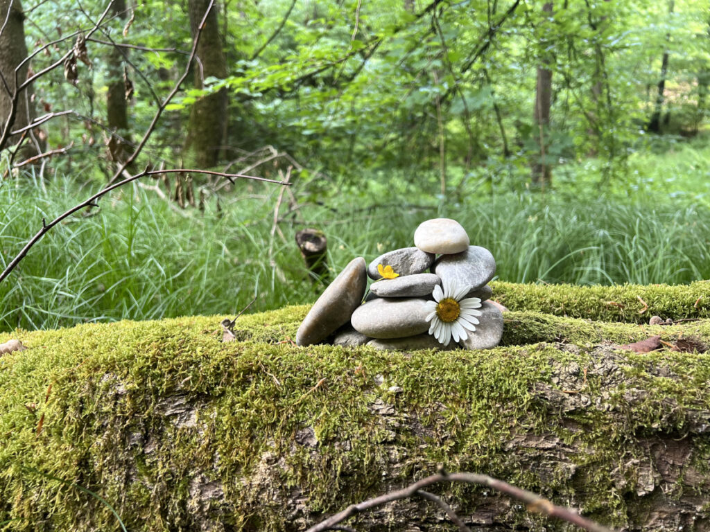 Retreat, Halbtagesretreat, a gloane Auszeit, Zeit für dich, Gathering in Passau und Vornbach am Inn