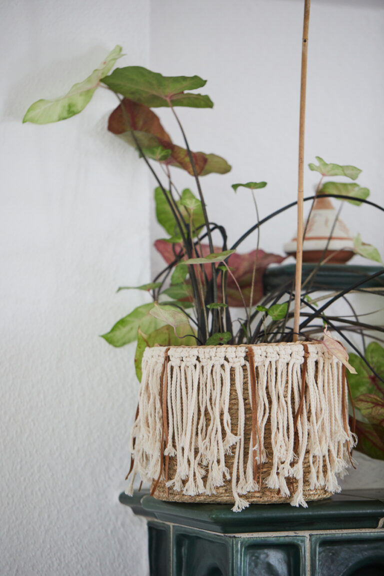 Makramee Blumentopf Blumenübertopf